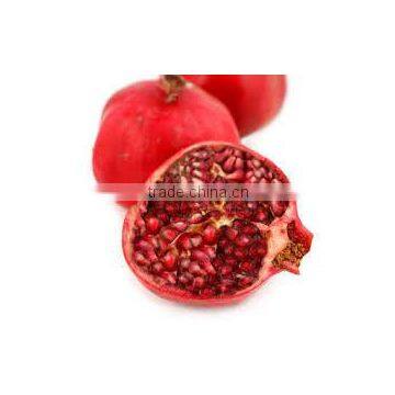 Pomegranate Oil photo-2