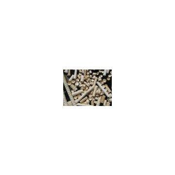 Sell Shark Bones (Indonesia)