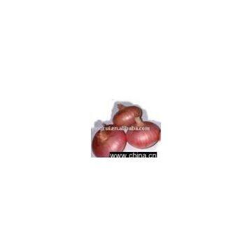 red onion