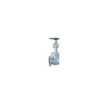 Forged steel cryogenic globe valve