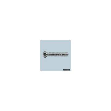 Hexagon Head Screws