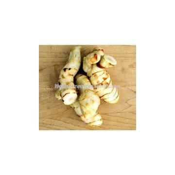 Sell Fresh Galangal