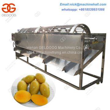 Hot Sale Mangoes Sorting Machine/Stainless Steel Mango Sorting Machine/Automatic Mango Sorting Machine photo-2