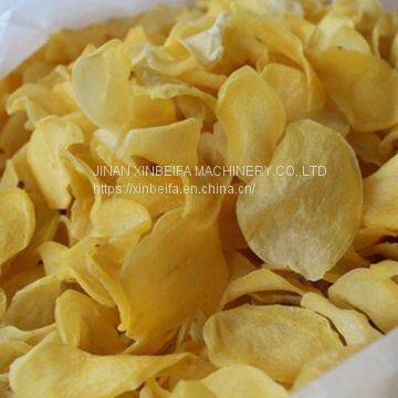 Potato Chip Drying Machine photo-5