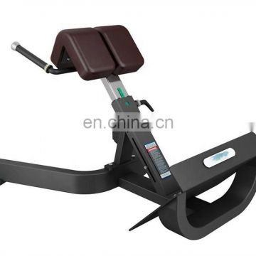 High quality good price commercial gym fitness equipment Back Extension SEH36