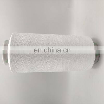 China Factory Whole Sale Nylon 6 Nylon 66 Nylon White Yarn 100d/2 Twisted photo-3