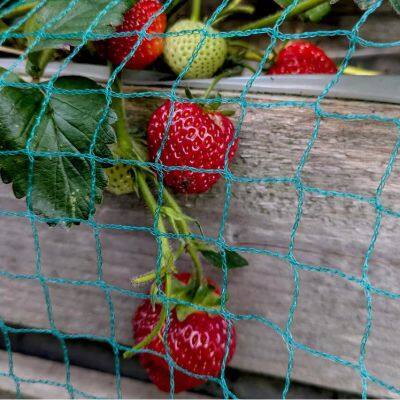 Anti Bird Catcher Netting Pond Net Fishing Net Traps Crops Fruit Tree Vegetables Flower Garden Mesh Protect Pest Control photo-5