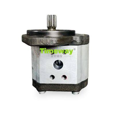 Hydraulic Gear Pump Gear Oil Pump Replace for 1NR.0510 725 103 37102 Gear Oil Power Pump Mini Loader Parts