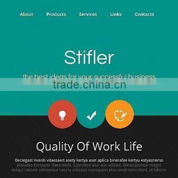 Web Designer photo-2