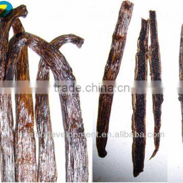 Madagascar Bourbon Vanilla Bean