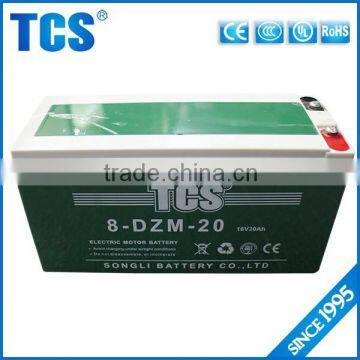 Exclusive design 16v 20ah electric bike battery