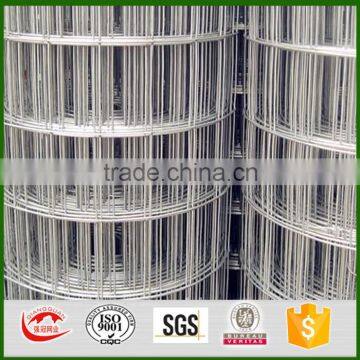 pvc coated and galvanized square metal mesh for sale                        
                                                                                Supplier's Choice