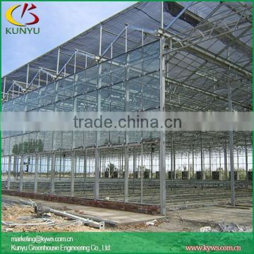 Venlo roof commercial glass greenhouse greenhouse glass panels