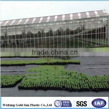 cheap price pp woven ground cover fabric