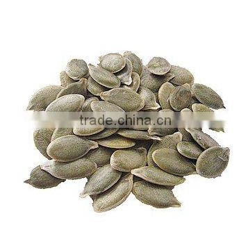 pumpkin seed