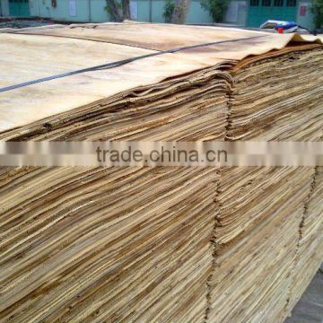 Eucalyptus Veneer