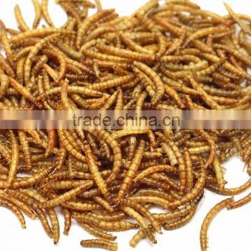 High Quality Insect protein dried mealworm feed and pet food