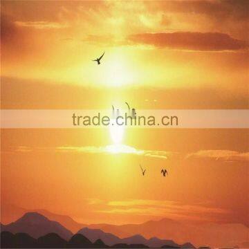 5mm High Quality Tempered Ceramic Fritted Glass photo-3