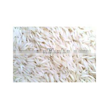 White Rice