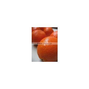 Fresh Oranges , Fresh Fruit and Fresh Oranges Citrus Sweet Mandarin Orange , photo-2