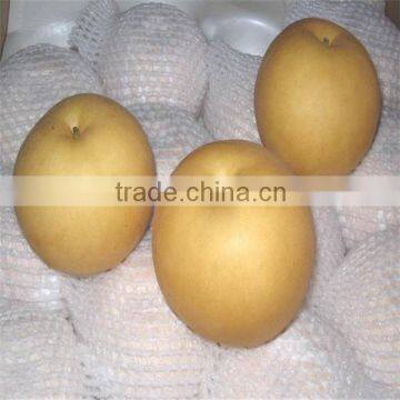 High quality singo pear from Shandong