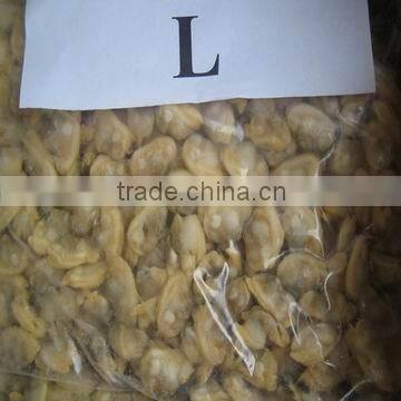 IQF frz boiled short necked clam meat