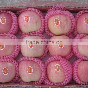 2016 New Crop Yantai Fresh Fuji Apple With 4kg Carton 10kg Carton 18kg Carton