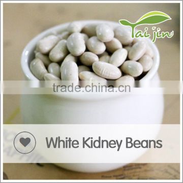 China Origin Canned Large White Kidney Beans