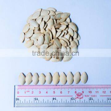 Edible Dried Snow White Melon Seeds,2016 New Crop Pumpkin Seeds in Shell
