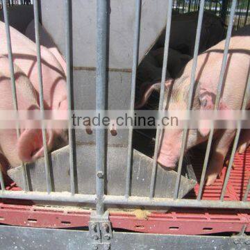 Elevated Pig Stall Pig Farming Equipment photo-2