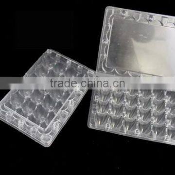 Transparent Quail Egg Setting Tray