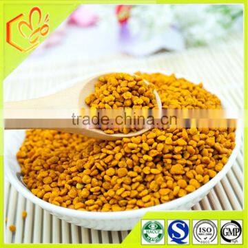 Manufacturer supply high protein camellia pollen wholesale