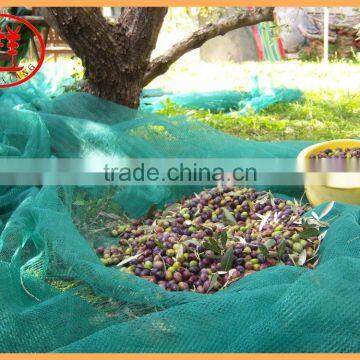 Cheap hdpe new material nut collecting olive harvesting net