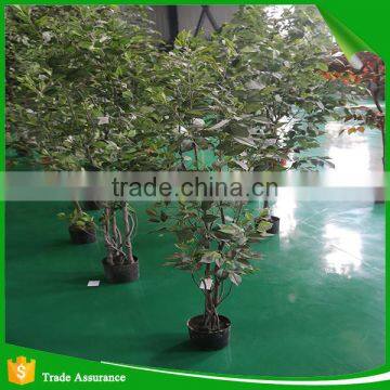Artificial Green Ornamental Plant Spring Tree for Indoor and Outdoor photo-3