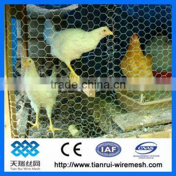 Galvanized chicken wire / hexagonal mesh