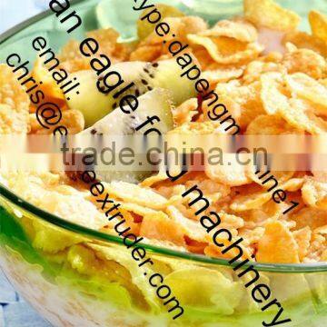 Double Screw Extruder Cereal photo-2