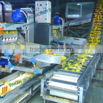 Vegetable Fruit Canned Food Canning Production Line photo-5