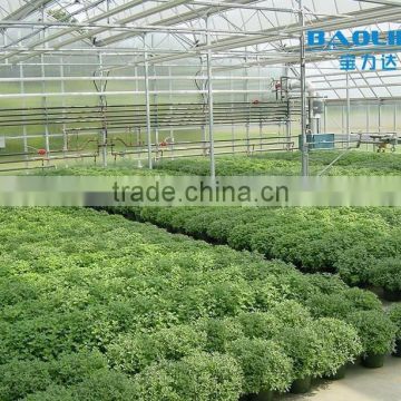 Building Double Layer Greenhouse PC Sheet greenhouse for agriculture and commercial used PC sheet garden greenhouse