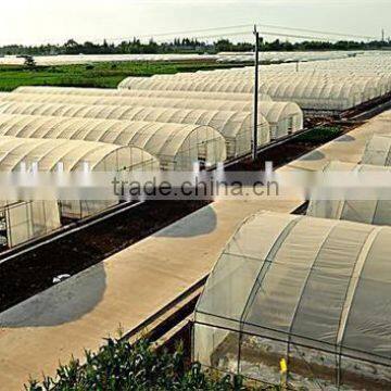 Low Cost Plastic Covered Metal Hoop Greenhouse photo-2