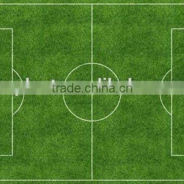 Hot Sale Sport Turfed Artificial Field Grass photo-3
