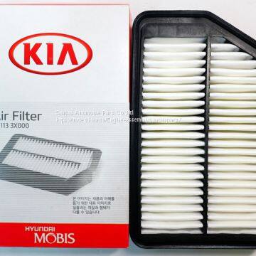 Diesel Engine Parts Air Filter for KIA&Hyundai 28113 3X000 photo-3