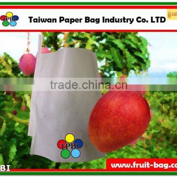 TPBI Taiwan fruit bag mango white protection paper bag mango bag protection