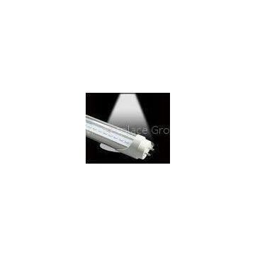 T8 LED tube light 1500mm IP42 Epistar Ra 80 fost clear cover / Ra 90 available CE ROHS approval shop