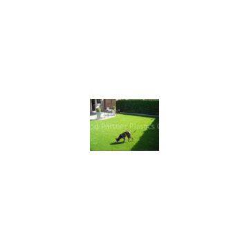 22mm Dtex10500 C Shaped Pet Artificial Grass Ornaments Fake Turf Grass , 3/8 Gauge