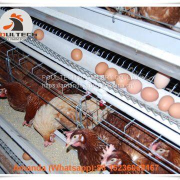 Guyana Layer Chicken Farm A Type Battery Laying Hen Cage & Chicken Coop with Automatic Egg Collection Machine 120 birds