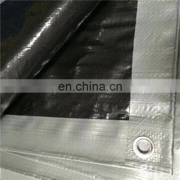 Rotproof transparent plastik Terpal / Clear plastic Sun Tarp Tarpaulin