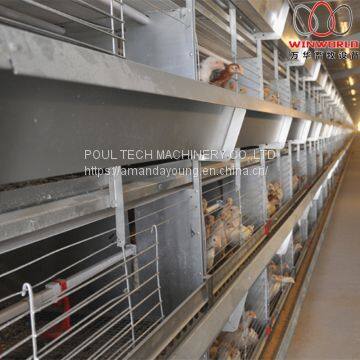 Ethiopia Poultry Farm Automatic Broiler Chicken Cage & Meat Chicken Cage & Chicken Coop in Chicken Shed