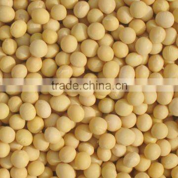 Organic Soybeans photo-2