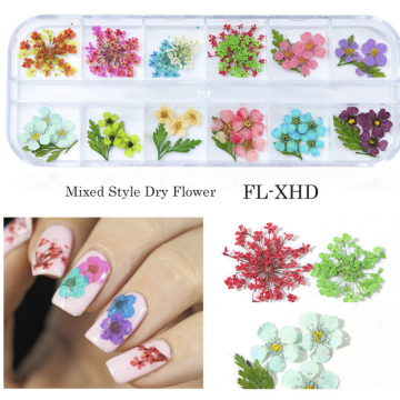 Tiny Dried Flowers For Nail Art For Nail Decorations Dried Flower Acrylic Nails