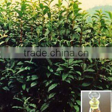 factory price organic food/comestic tea tree oil